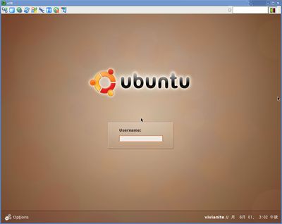 ubuntu_vnc4.png